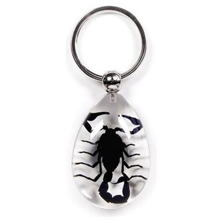 ED SPELDY EAST ED SPELDY EAST SK608 Key Chain  Tear Drop Shape  Clear  Black Scorpion SK608